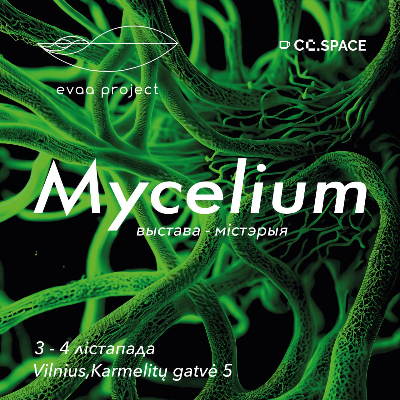 Афіша Mycelium.